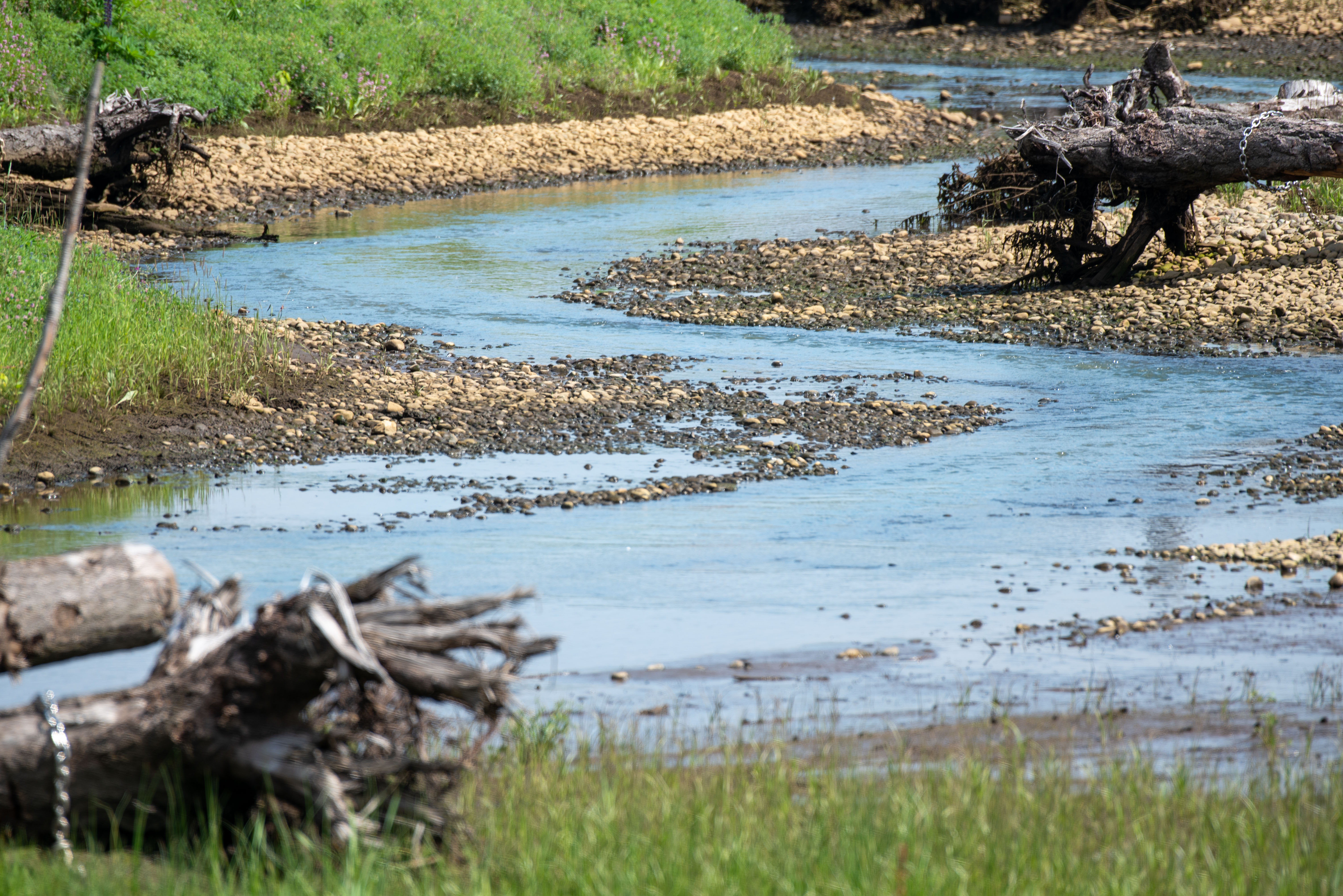 Wapato Creek 